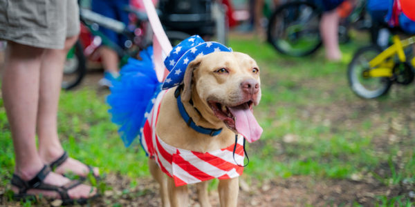 RCNA4July-31